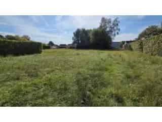 Bouwgrond te koop - Schriek RBU23934