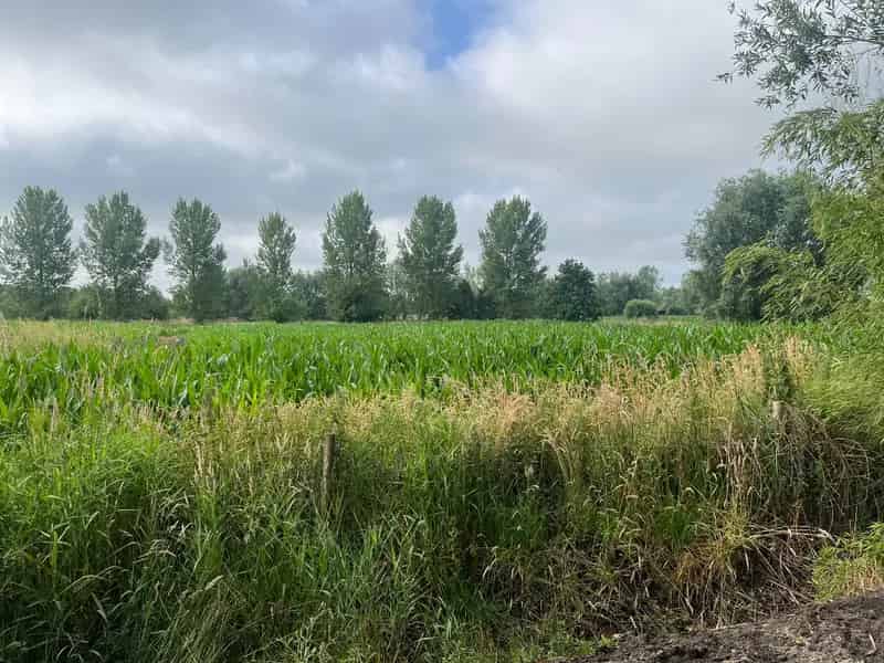 Bouwgrond Sijsele 1173m² Vrijstaand Open Zicht