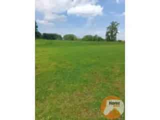 Landbouwgrond te koop Tongeren 15ha Weide met Schuilstal