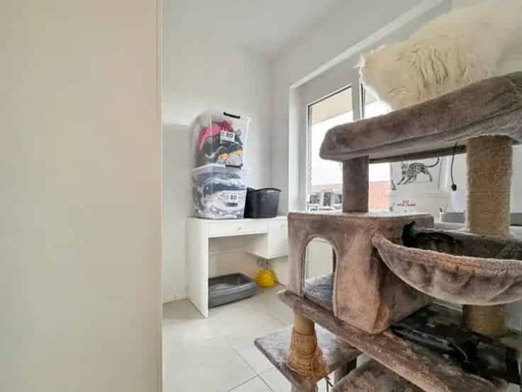 Studio Te Koop Gerenoveerd 2021 Terras Kelder