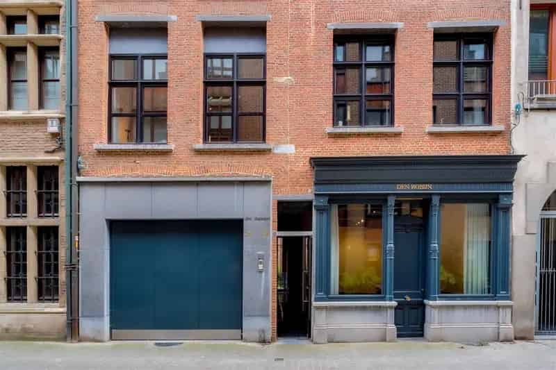 Twee Historische Huizen Antwerpen Stadstuin Dubbele Garage