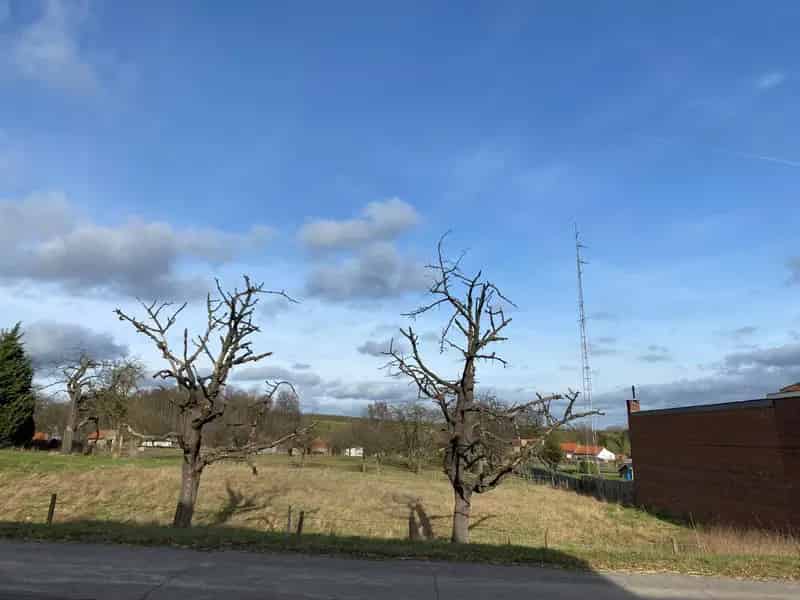 Bouwgrond te koop Engelmanshoven 10a 50ca