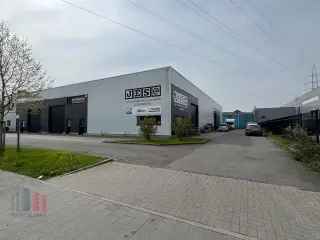 Industrie te koop - Machelen RBP55603   In optie