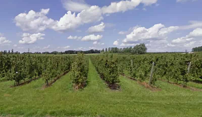 Landbouwgrond te koop Glabbeek 8600m²