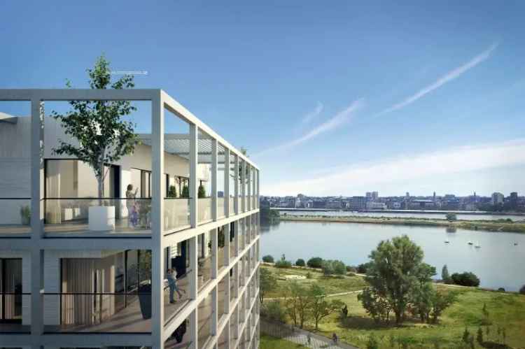 Nieuwbouw appartement te koop in Antwerpen