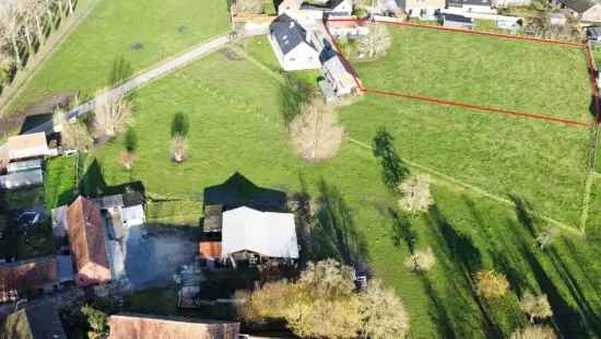 Bouwgrond op 2.995 m² te koop in Nederzwalm