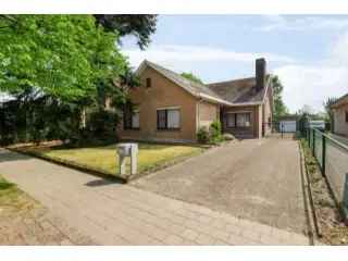 Huis te koop Brasschaat 3 slaapkamers grote tuin