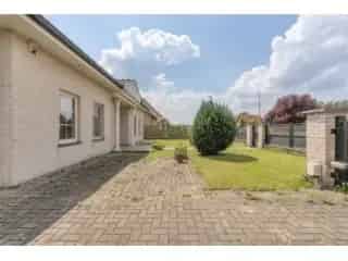 Huis te Koop Neerpelt 3 Woonunits