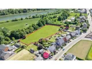 Weiland te Koop Veldwezelt 6012m2 Paardenliefhebbers