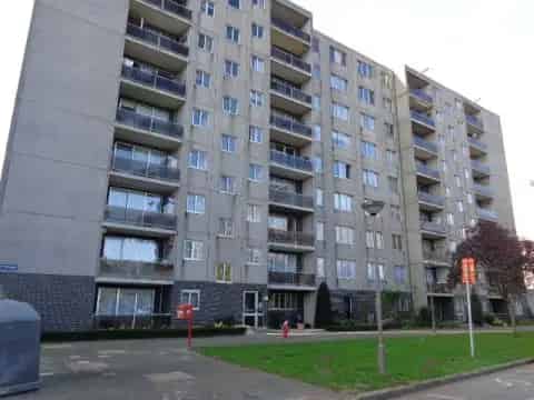 Appartementen te huur Renaat Veremansstraat