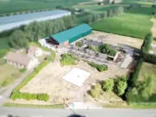 Fermette te koop Damme - 6850m² - Opslag 1060m²
