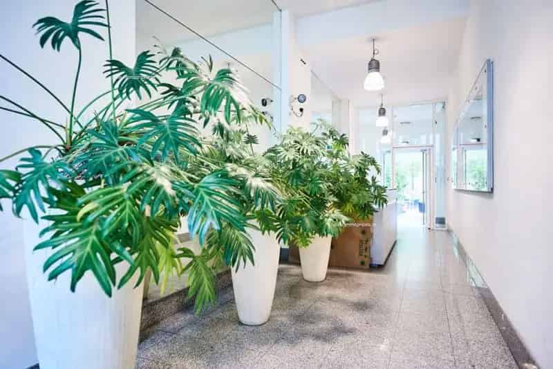 Moderne Kantoren te Huur Zuidstation Brussel