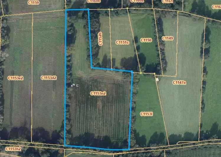 Grond kopen landbouwgrond in Balen met oppervlakte van 14600 m²