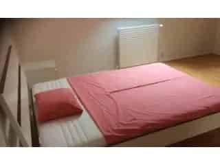 Appartement in medehuur Brussel - Ruime kamer nabij Schuman