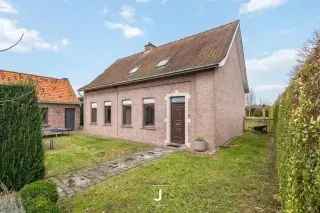 Boerderij - hoeve te koop - Kooigem RBS14300