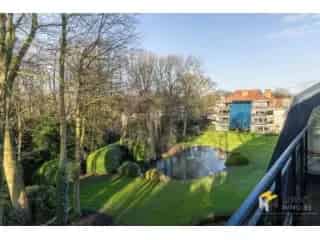 Penthouse te koop Brasschaat 220m² 2 slaapkamers