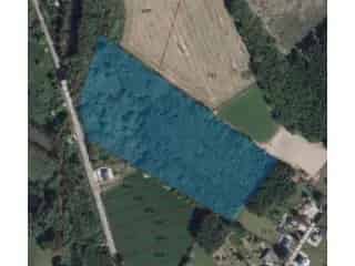 Bouwgrond te Koop Cul-des-Sarts 3 hectare