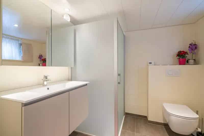 Ruime woning met potentieel Deerlijk centrum
