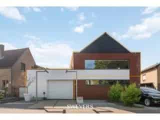 Appartement te koop - Boorsem RBU23063