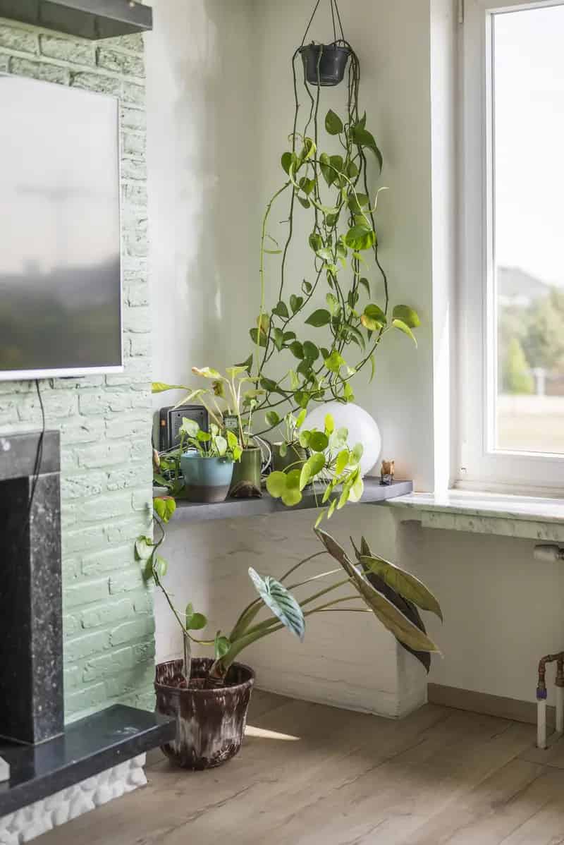 Appartement te huur met uitzicht op Park Spoor Noord