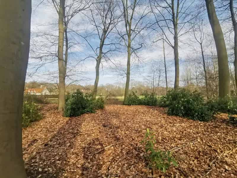 Nieuwbouwvilla 4 slaapkamers te koop Sint-Michiels