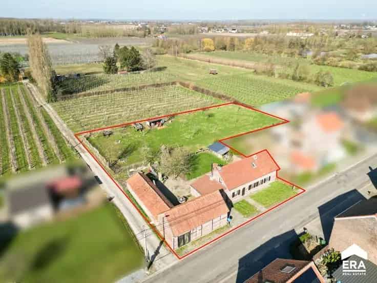 Huis Te Koop Wellen: Landelijke woning te renoveren met paardenstallen