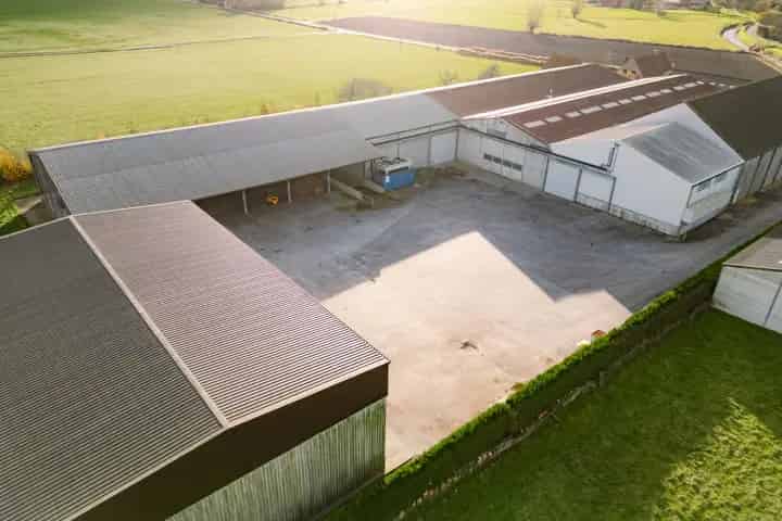 Landbouwgrond te Huur Lo-Reninge