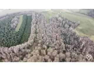 Landbouwgrond 3ha Saint-L
air - In optie