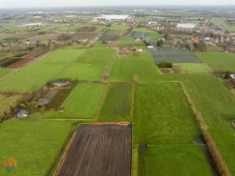Landbouwgrond te Putte 3950m2