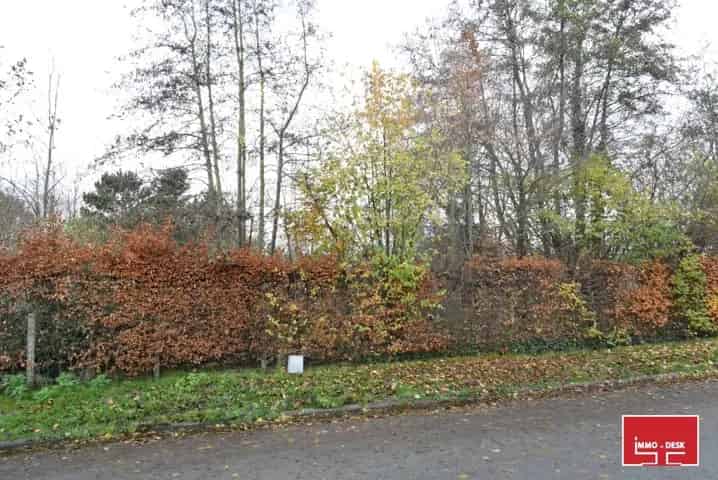 Project Denderleeuw - Huis te koop