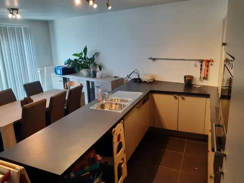 Appartement te Huur Kruisem 91m2