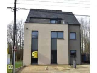 Gelijkvloers Appartement te huur Bilzen 141m2 3 slaapkamers