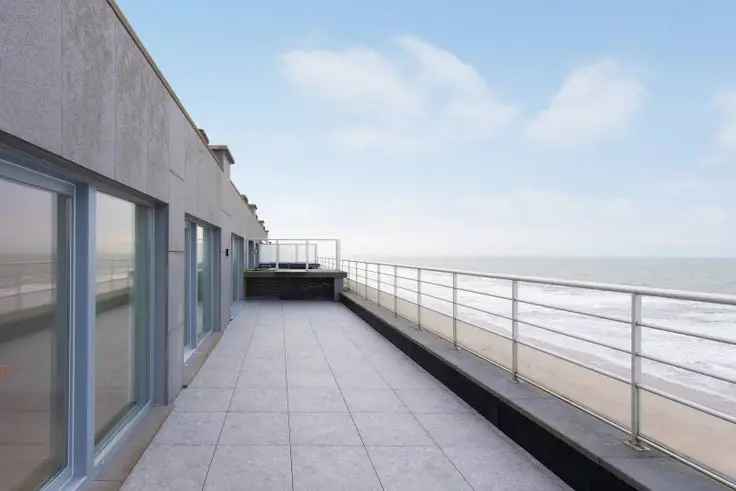 Penthouse Te Koop