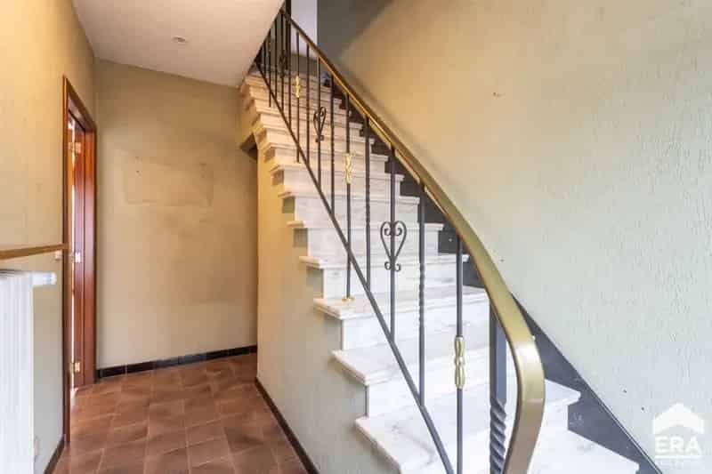 Huis te koop Denderleeuw 4 slaapkamers instapklaar