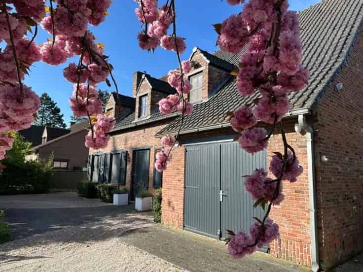 Gerenoveerde Luxevilla nabij Moretusbos