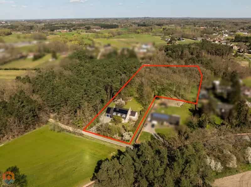 Villa te koop Rijmenam 5 slaapkamers 8625m²