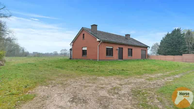 WILSELE Landelijke woning te renoveren 300m² 41a