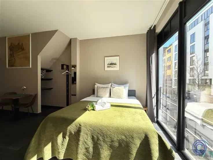 Antwerpen Opbrengsteigendom: Winkel & 3 Studio's
