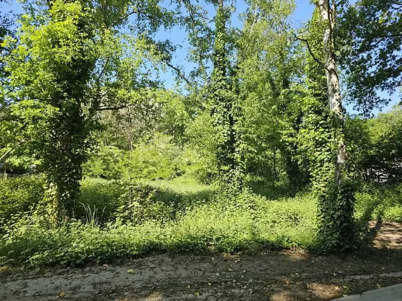 Landbouwgrond te koop Tessenderlo-Ham 15a91ca