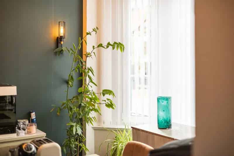 Gerenoveerde woning te koop De Panne