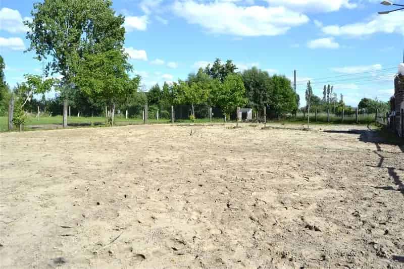 Paardenstalling te huur Deerlijk - Weides en Buitenpiste