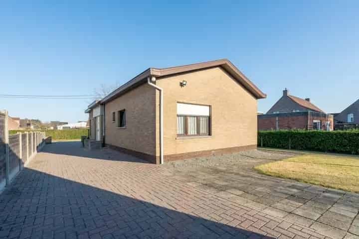 Bungalow te koop Lokeren 3 slaapkamers 2 garages 800m²