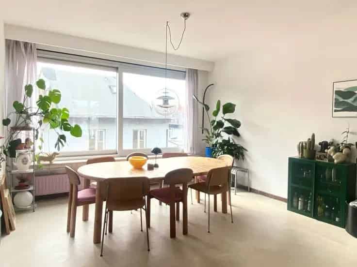 Appartement Antwerpen: Lichtrijk en Modern Stadse Appartement