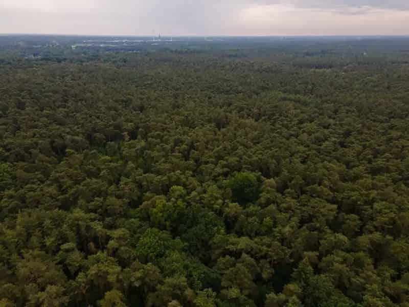 Bos te koop Lichtaart 1345m²