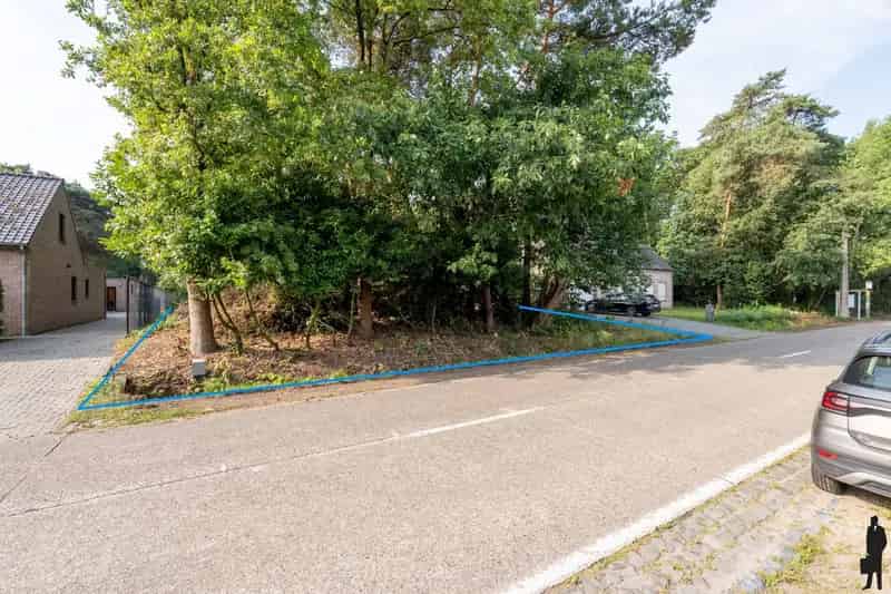 Bouwgrond van 2.567 m² met zuidoriëntatie in Zoersel