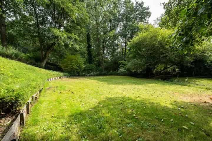 Bois de Chapelle 26