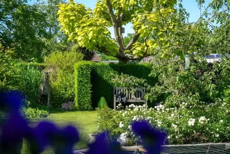 Villa Te Koop Rekkem: Gerenoveerde woning met tuin en garage