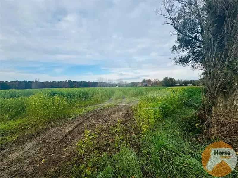 Bouwgrond Waasmunster 10606m2 Open Bebouwing Nabij E17