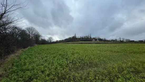 Verkoop landbouwgrond in Leuven Wilsele met ruime perceel van 1ha 56a 15ca