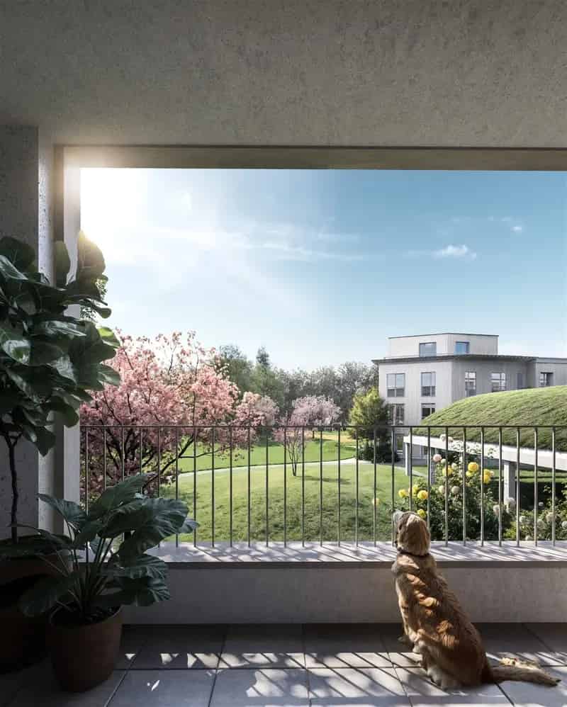 Ecologische Huis te Koop Mortsel-Dorp 3 slaapkamers